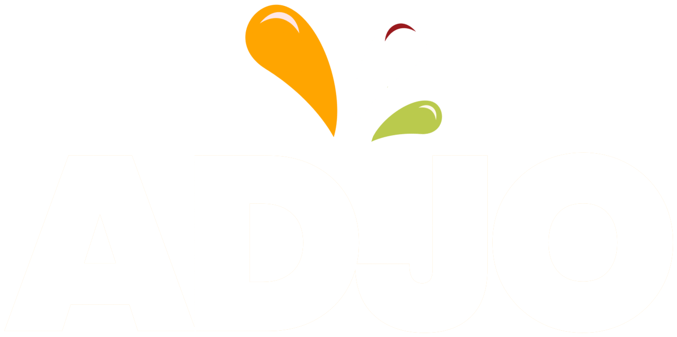 ADJO — A Taste of West Africa