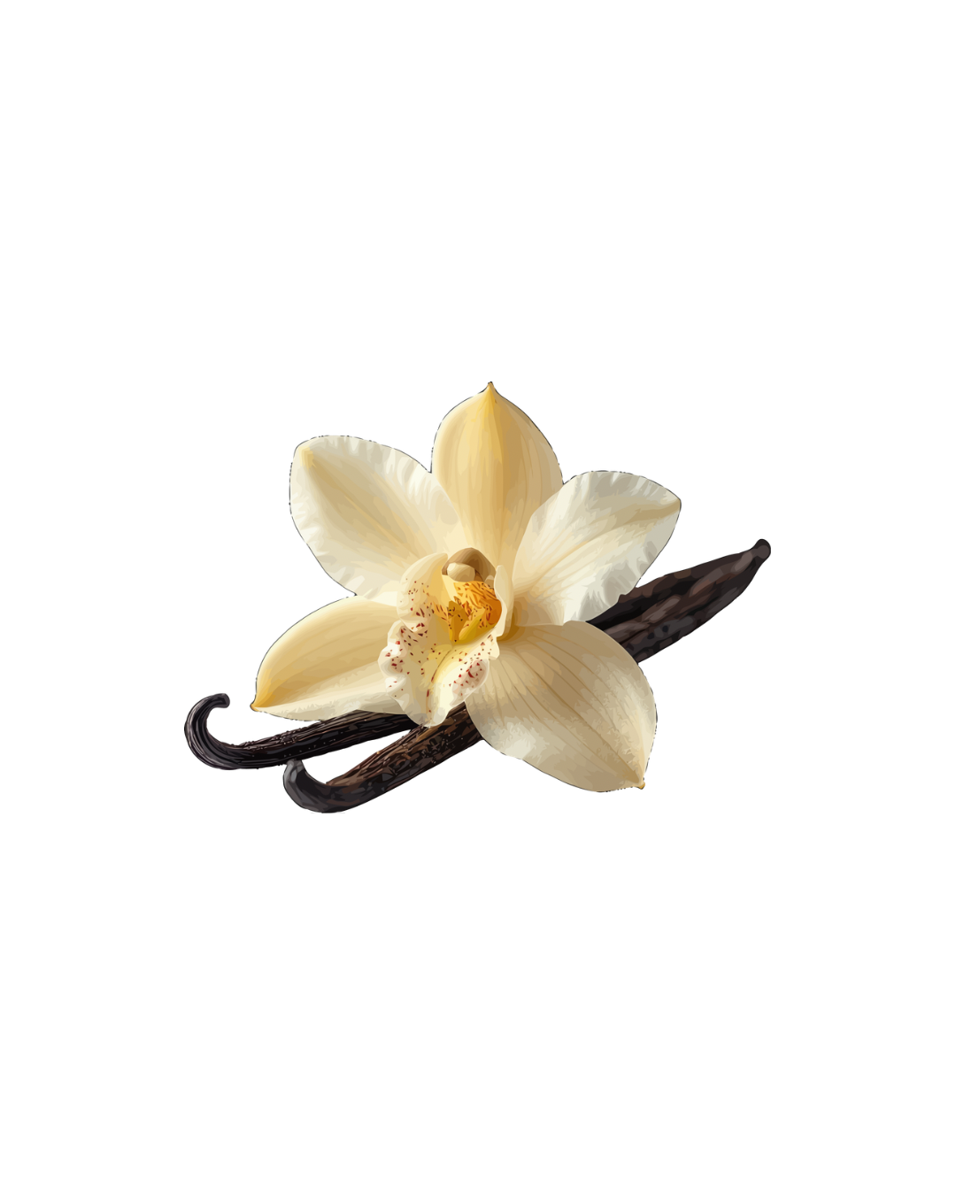 Vanilla flower